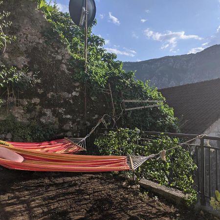 Best View! Rooftop With Garden - Old Town Nr404 科托尔 外观 照片