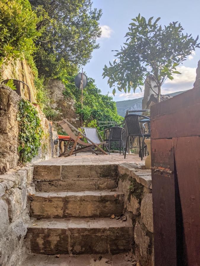 Best View! Rooftop With Garden - Old Town Nr404 科托尔 外观 照片
