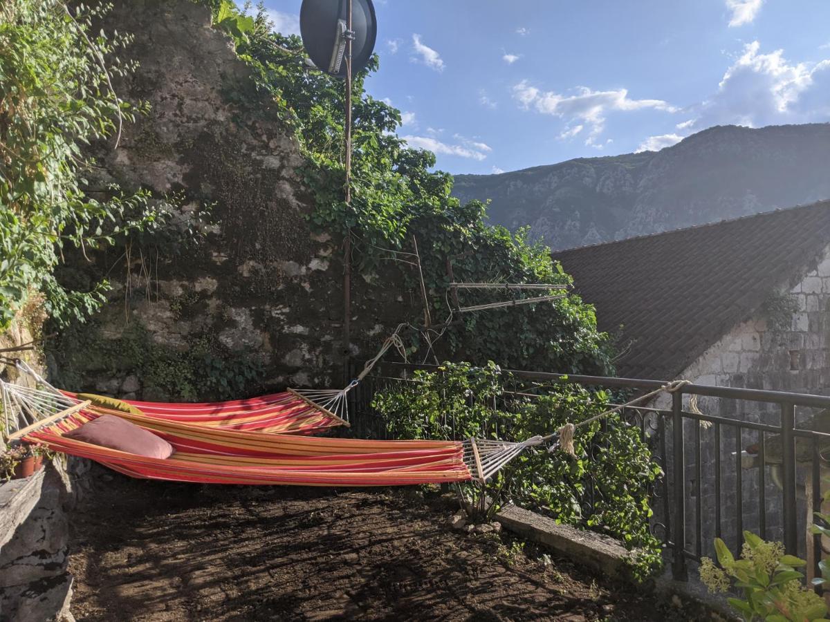 Best View! Rooftop With Garden - Old Town Nr404 科托尔 外观 照片