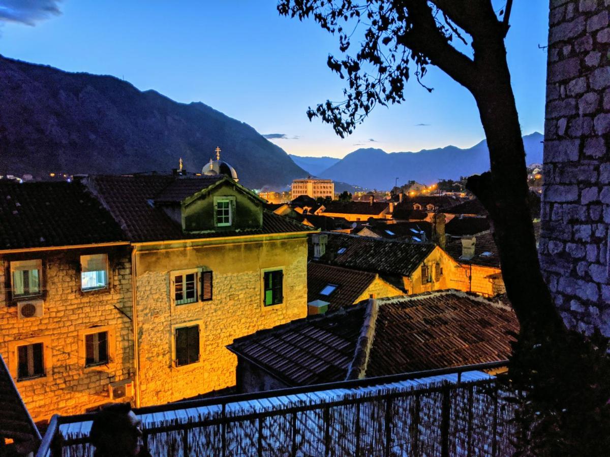 Best View! Rooftop With Garden - Old Town Nr404 科托尔 外观 照片